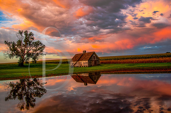 COLOR OVER THE CRIB