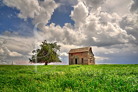 LITTLE HOUSE ON THE PRAIRIE
