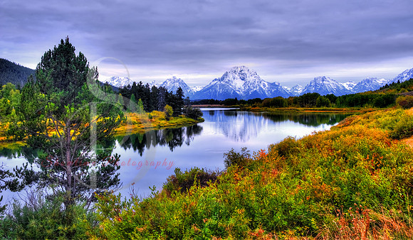 Oxbow Bend, Jackson Hole Wyoming