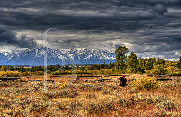 The Guardian, Jackson Hole Wyoming