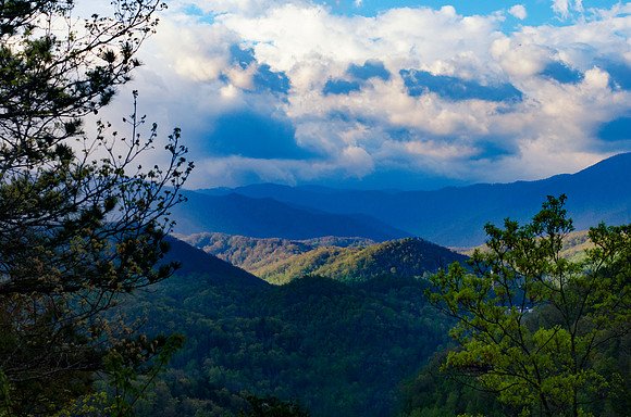 SMOKIES